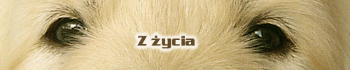 Z �ycia ma�ych agent�w - Kliknij!!!