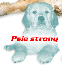 Psie strony w internecie....